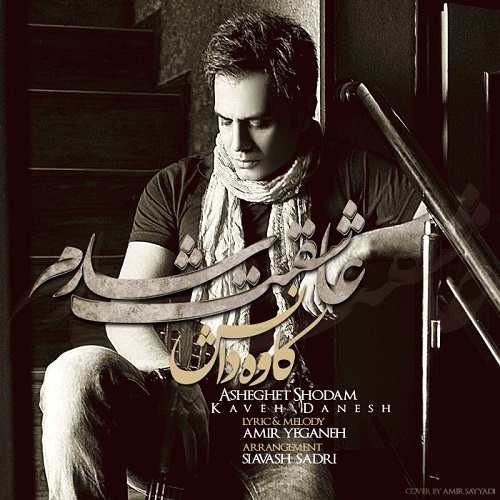 دانلود آهنگ عاشقت شدم